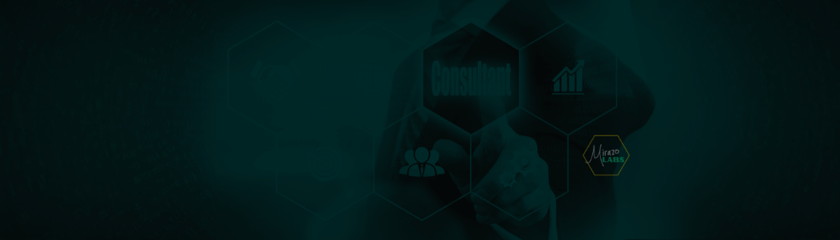 Enterprise Data Science and Machine Learning consulting